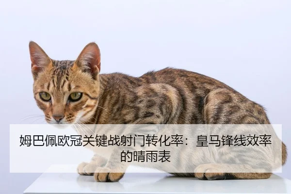 姆巴佩欧冠关键战射门转化率：皇马锋线效率的晴雨表