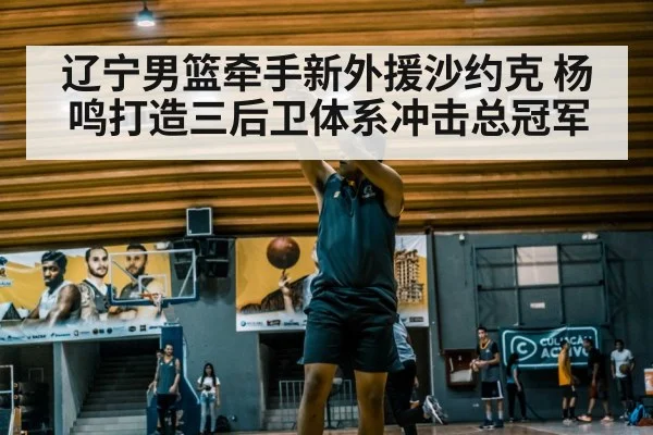 辽宁男篮牵手新外援沙约克 杨鸣打造三后卫体系冲击总冠军