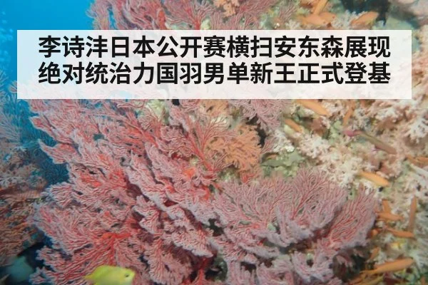 李诗沣日本公开赛横扫安东森展现绝对统治力国羽男单新王正式登基